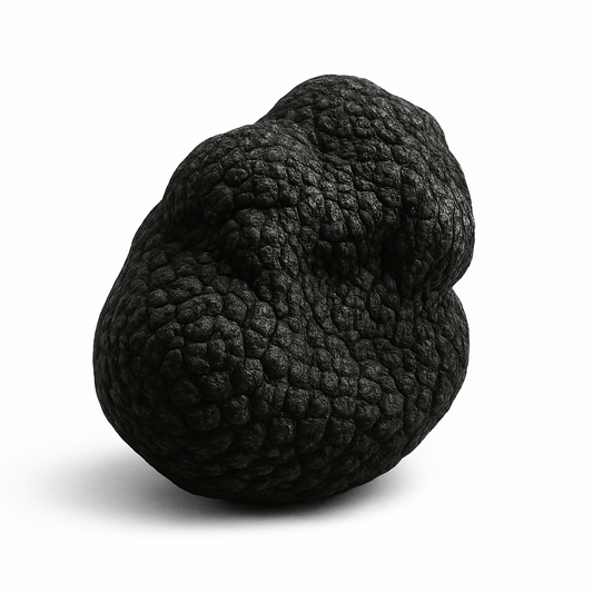 Tartufo Nero Invernale