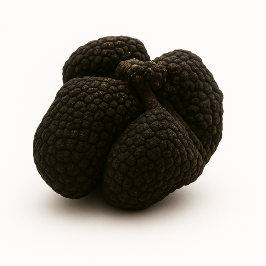 Tartufo Nero Moscato