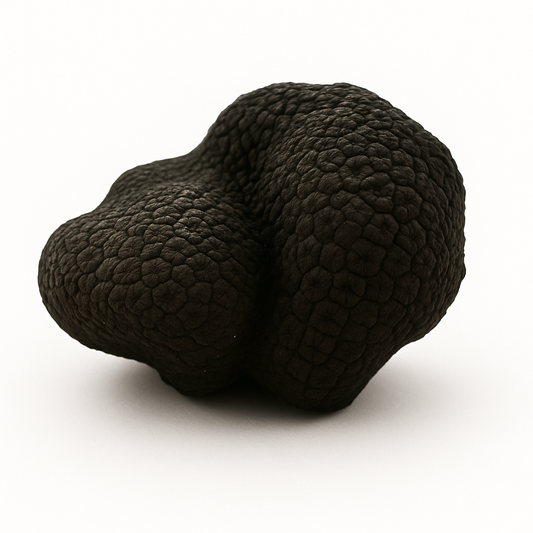 Tartufo Uncinato