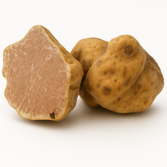 Tartufo Bianco